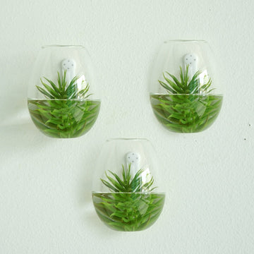 3 Pack Egg Shaped Glass Wall Vase Indoor Wall Mounted Planters Hanging Terrariums