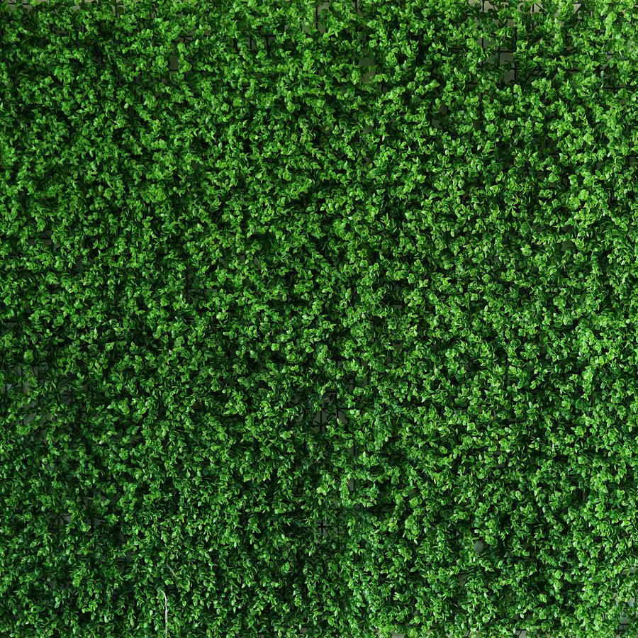11 Sq ft. | Baby Green Boxwood Hedge Garden Wall Backdrop Mat