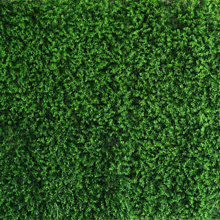 Artificial Baby Green Boxwood Hedge Garden Wall Backdrop Mat - 4 Panels Artificial Baby Green Boxwood Hedge Garden Wall Backdrop Mat - 4 Panels