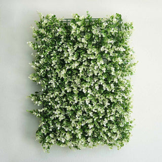 Indoor and Outdoor Decor with White Tip Green Boxwood