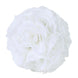 2 Pack | 7inch White Artificial Silk Rose Flower Ball, Silk Kissing Ball#whtbkgd