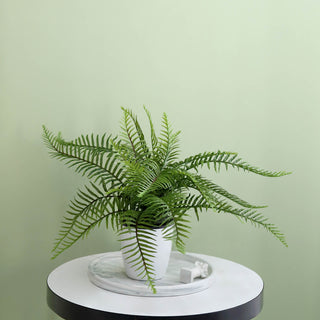 Create a Serene Ambiance with the 20" Artificial Cycas Fern Green Leaf Plant