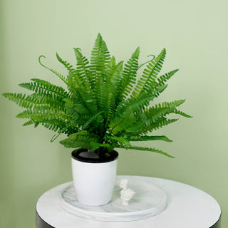 Add a Touch of Natural Green with the 18" Green Artificial Boston Fern Leaf Plant