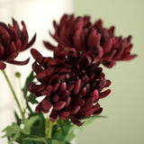 3 Stems | Burgundy 27inch Artificial Silk Chrysanthemum Bouquet Flowers#whtbkgd