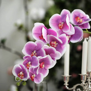 Pink orchid flower arrangement with vibrant petals and green accents.