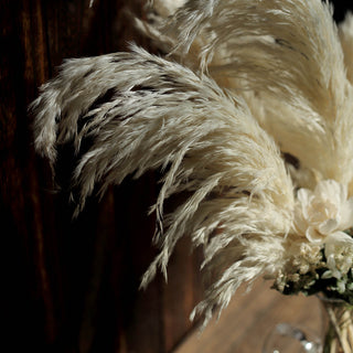 Experience the Beauty of 32" Off White Dried Pampas Grass