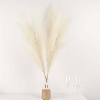 Elegant dried pampas grass in a glass vase, perfect for home decor.