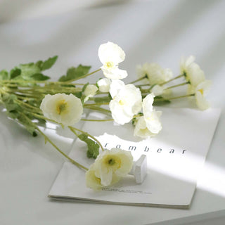 White flowers arranged on a magazine with soft lighting.