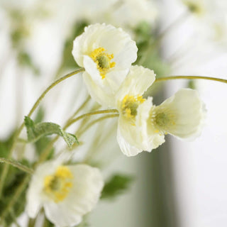White flowers with delicate petals and yellow centers.