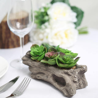 7" Long Artificial Log Planter with Perle Von Nurnberg Succulent Plants - Rustic Charm for Your Home or Event