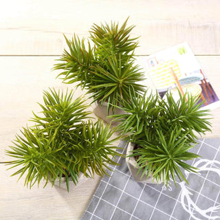 Durable and Long-Lasting Décor for Any Setting Durable and Long-Lasting Décor for Any Setting