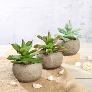 Stylish and Modern 3 Pack | 5" Ceramic Planter Pot