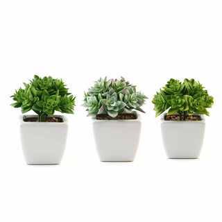 Enhance Your Event Decor with our 3 Pack | 4" Ceramic Planter Pot and Green Artificial Echeveria Plants