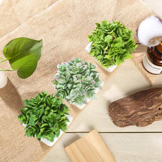 Create a Stunning Green Oasis with our 3 Pack | 4" Ceramic Planter Pot and Green Artificial Echeveria Plants Create a Stunning Green Oasis with our 3 Pack | 4" Ceramic Planter Pot and Green Artificial Echeveria Plants