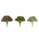 3 Pack | 4inches Artificial PVC Mini Jelly Bean Decorative Succulent Plants#whtbkgd