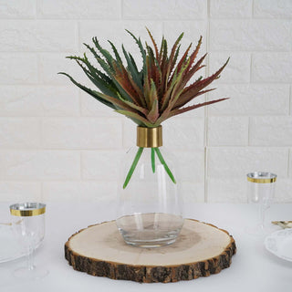 Add Vibrant Greenery to Your Space with the 3 Pack | 12" Artificial PVC Aloe Cameronii Decorative Succulent Plants Add Vibrant Greenery to Your Space with the 3 Pack | 12" Artificial PVC Aloe Cameronii Decorative Succulent Plants