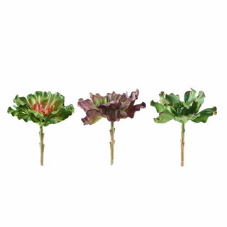 Versatile and Realistic Decorative Succulent Plants