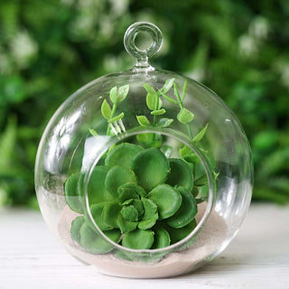 Glass terrarium with succulent and sand, perfect for indoor decor.