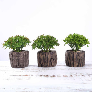 3 Pack 6" Artificial Stump Planter Pot and Aeonium Succulent Plants