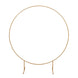 6.5ft Gold Metal Floral Balloon Garland Hoop, Round Backdrop Frame, Circle Wedding Arch Stand#whtbkgd
