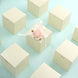 100 Pack | 3inch Easy DIY Ivory Party Or Shower Favor Candy Gift Boxes