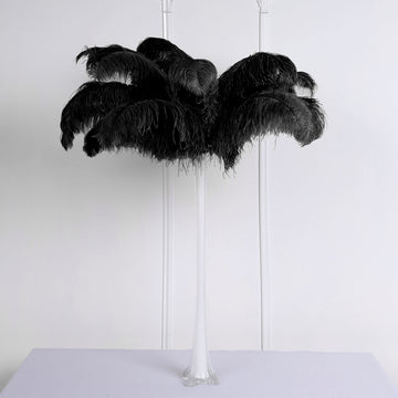 12 Pack Black Natural Plume Ostrich Feathers Centerpiece Filler - 24"-26"