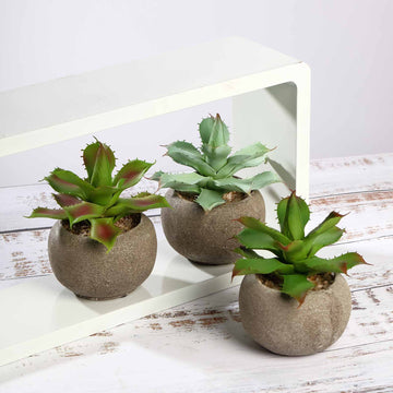 3 Pack 5" Ceramic Planter Pot and Artificial Aloe Succulent Plants