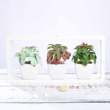 3 Pack 5" Ceramic Planter Pot and Artificial Elegans Succulent Plants