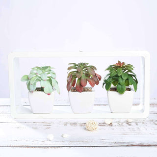 Add a Touch of Elegance with the 3 Pack | 5" Ceramic Planter Pot and Artificial Elegans Succulent Plants Add a Touch of Elegance with the 3 Pack | 5" Ceramic Planter Pot and Artificial Elegans Succulent Plants
