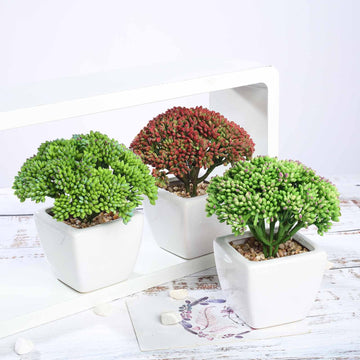 3 Pack 6" Ceramic Planter Pot and Artificial Joy Sedum Succulent Plant