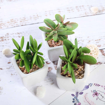3 Pack 3" Ceramic Planter Pot and Artificial Mini Jade Succulent Plant