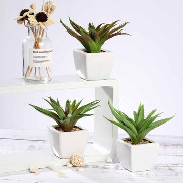 3 Pack 5" Ceramic Planter Pot and Artificial Spot Aloe Succulent Plant
