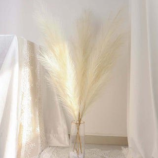 Dried pampas grass bouquet in a clear vase on a light background.