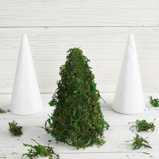 24 Pack | 6" White Styrofoam Cone for DIY Crafts