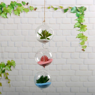 Enhance Your Indoor Space with Air Plant Hanging Glass Globe Terrariums