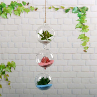 Hanging glass terrarium with three plants in pink and blue sand.