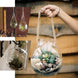 3 Pack | Flower Shaped Glass Wall Vase | Indoor Wall Mounted Planters | Hanging Terrariums