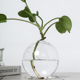 3 Pack | Classic Round Glass Wall Vase | Indoor Wall Mounted Planters | Hanging Terrariums