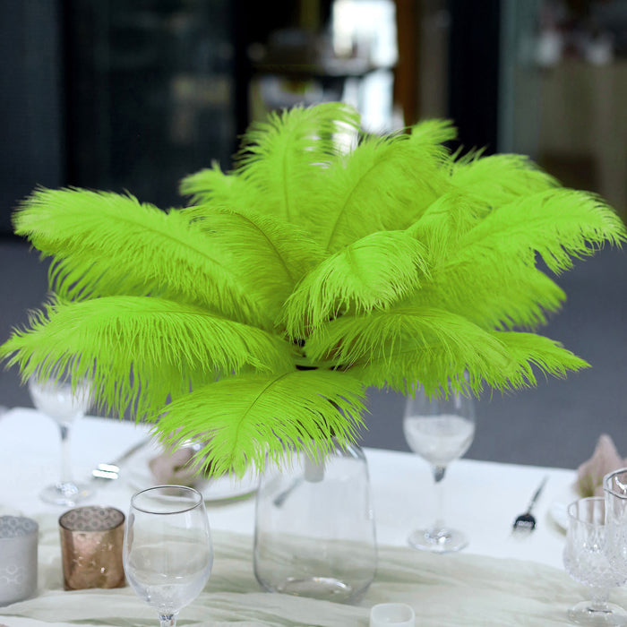 12 Pack | 13-15inch Green Natural Plume Real Ostrich Feathers, DIY Centerpiece Fillers