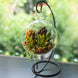 2 Pack | 10inch Tall Black Metal Air Plant Terrarium Stand, Hanging Ornament Display Holder