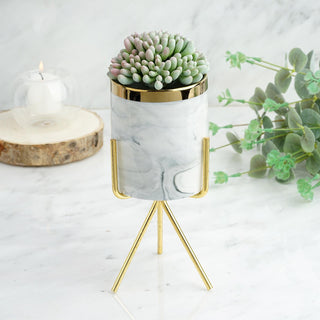 Perfect for Any Occasion: 8" Gold Rimmed Marble Ceramic Vase Planter Pot