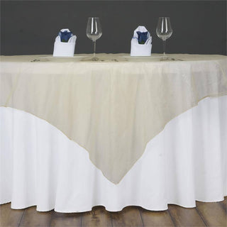 Create a Captivating Table Setting with Champagne Sheer Organza