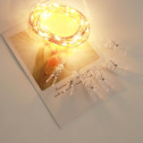 32ft Warm White 100 LED Clear Photo Clip Fairy String Light Garland