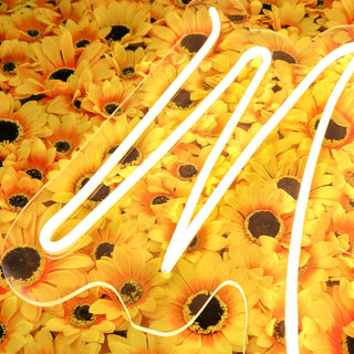 Illuminate Your Events with Style Illuminate Your Events with Style