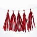 Pre-Tied Metallic Foil Fringe Tassel Garland, Tinsel Curtain for Photo Backdrop Party Decoration#whtbkgd