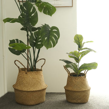 Set of 2 Natural Seagrass Plant Baskets, Wicker Hand Woven Straw Planter With Handles