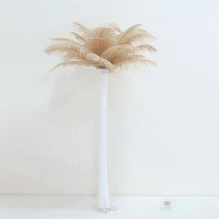 Beige Natural Plume Real Ostrich Feathers for DIY Centerpiece Fillers