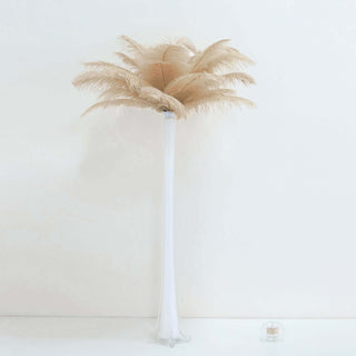 Beige Natural Plume Real Ostrich Feathers for DIY Centerpiece Fillers Beige Natural Plume Real Ostrich Feathers for DIY Centerpiece Fillers