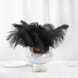 Transform Your Event with Real Ostrich Feathers Transform Your Event with Real Ostrich Feathers