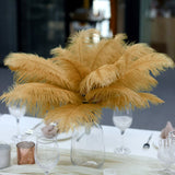 12 Pack | 13-15inch Gold Natural Plume Real Ostrich Feathers, DIY Centerpiece Fillers